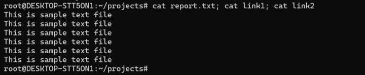 how to manage symbolic links on linux? (linux symbolic links)