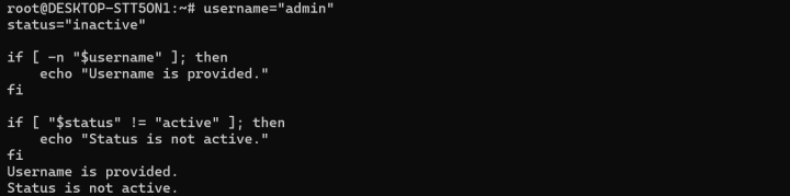 how to use bash if statements? (conditional logic in bash)